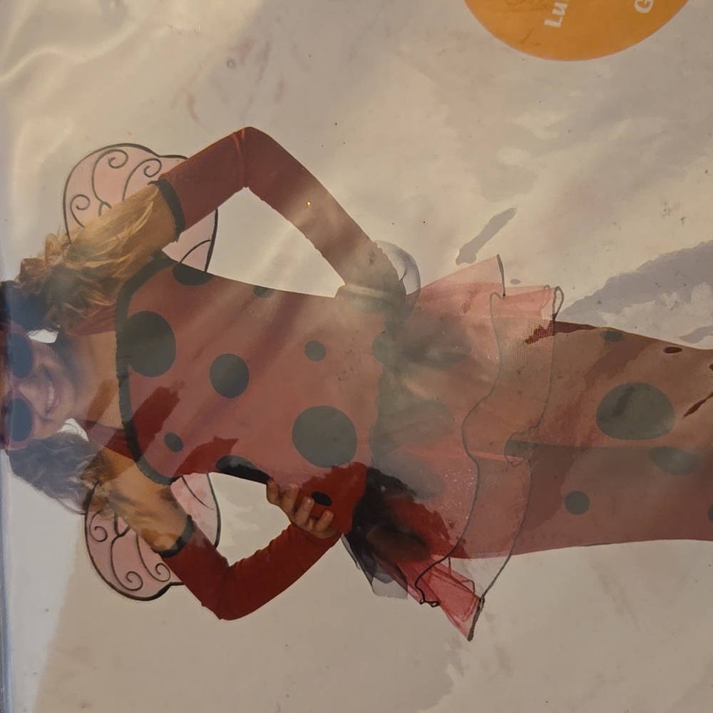 Kids Lady Bug Costume